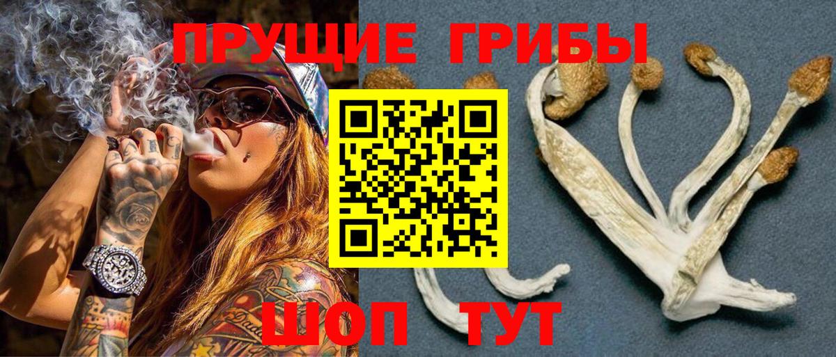 Псилоцибиновые грибы MAGIC MUSHROOMS Элиста
