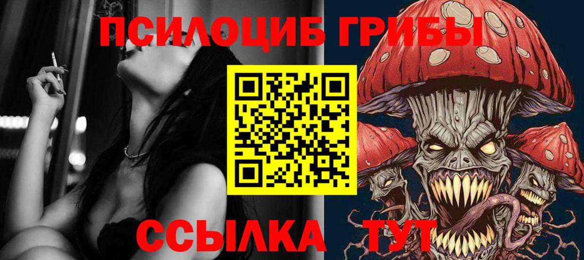 Элиста  Псилоцибиновые грибы Magic Shrooms  Псилоцибиновые грибы Cubensis  Вход с VPN 